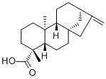 Kaurenoic acid molecular structure (CAS 6730-83-2)