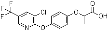 structure of CAS# 69806-34-4, Haloxyfop;2-[4-[3-chloro-5-(trifluoromethyl)pyridin-2-yl]oxyphenoxy]propanoic acid
