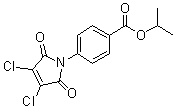 4-(3,4-二氯-2,5-二氢-2,5-二氧代-1H-吡咯-1-基)苯甲酸异丙酯分子结构 (CAS 704878-75-1)