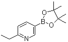 结构式 CAS# 741709-61-5, 2-乙基-5-(4,4,5,5-四甲基-1,3,2-二氧硼杂环戊烷-2-基)吡啶