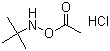 structure of CAS# 851074-40-3, N-(Acetyloxy)-2-methyl-2-propanamine hydrochloride