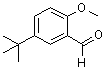 结构式 CAS# 85943-26-6, 5-叔丁基-2-甲氧基苯甲醛