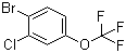 1-溴-2-氯-4-(三氟甲氧基)苯分子结构 (CAS 892845-59-9)